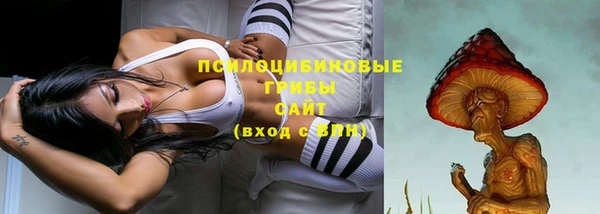 прущие грибы Инсар