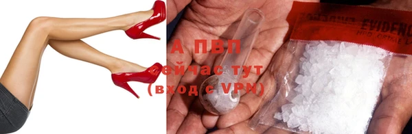 прущие крисы Кущёвская