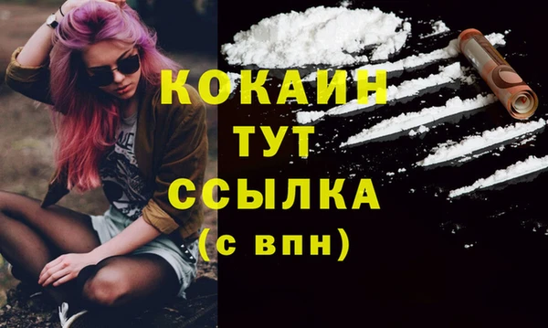 прущие грибы Инсар