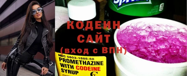 спиды Каменка