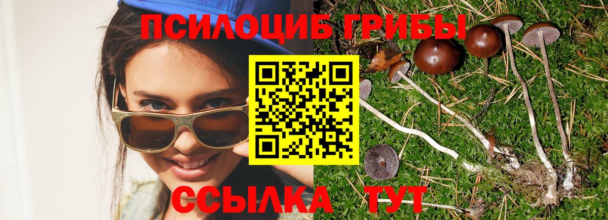 Галлюциногенные грибы мицелий Мелеуз